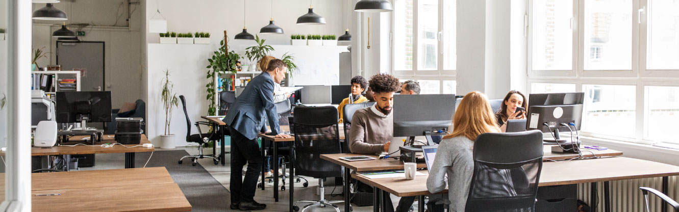 Employees at their desks